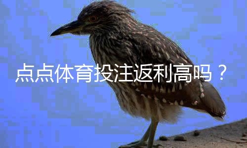点点体育投注返利高吗？真实返利比例、领取攻略与风险提示