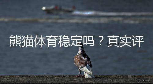 熊猫体育稳定吗?真实评测、平台稳定性与风险提示