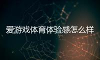 爱游戏体育体验感怎么样？真实用户评测与新手使用攻略
