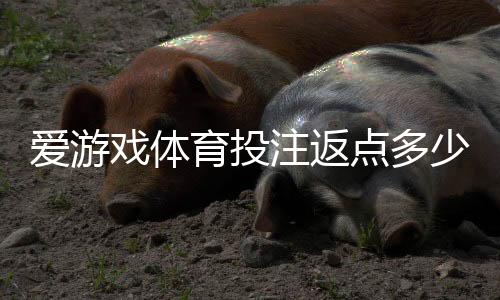 爱游戏体育投注返点多少？最新返点比例、计算方法与领取技巧详解