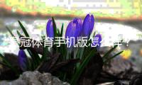 皇冠体育手机版怎么样？全面评测与新手下载、注册、充值实用攻略