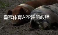 皇冠体育APP注册教程：新手一步步完成账号注册、身份验证与常见问题解答