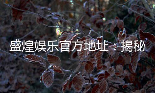 盛煌娱乐官方地址：揭秘官网入口与独家优惠活动