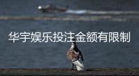 华宇娱乐投注金额有限制吗？详细解析平台充值规则与上限