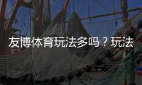 友博体育玩法多吗？玩法种类全面解析与新手实战攻略