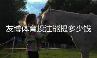 友博体育投注能提多少钱？最新提现额度、到账时间与注意事项全解析