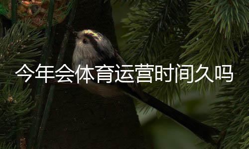 今年会体育运营时间久吗？平台稳定性、续约可能性与用户应对攻略