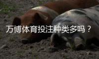 万博体育投注种类多吗？一文看懂常见玩法、玩法差异与新手攻略