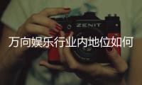 万向娱乐行业内地位如何？揭秘其市场影响力与玩家口碑