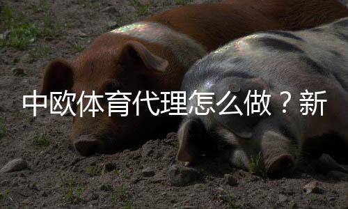 中欧体育代理怎么做？新手必看：注册流程、佣金规则与推广赚钱全攻略