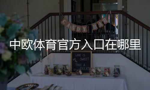 中欧体育官方入口在哪里?新手快速访问、登录与安全识别全攻略