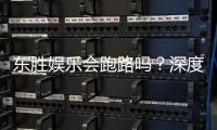 东胜娱乐会跑路吗？深度解析平台安全性与玩家应对策略