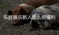 东胜娱乐新人怎么领福利？手把手教你轻松获取首存礼金