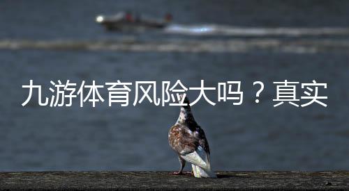 九游体育风险大吗?真实评测、常见风险与防骗攻略全面解析