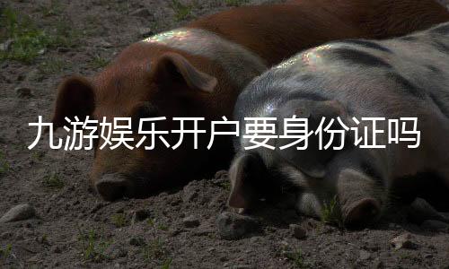 九游娱乐开户要身份证吗?实名认证流程、注意事项与快速通过攻略