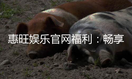 惠旺娱乐官网福利：畅享超值优惠与独家游戏礼包