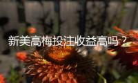 新美高梅投注收益高吗？资深玩家解析高回报实战策略