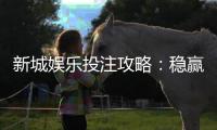 新城娱乐投注攻略：稳赢技巧与实战经验分享