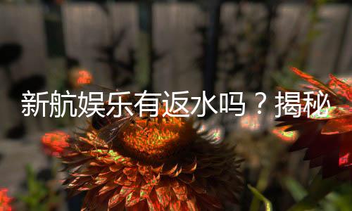 新航娱乐有返水吗？揭秘返水优惠及领取攻略