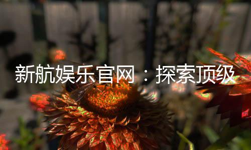 新航娱乐官网：探索顶级电子游艺的精彩世界