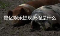 星亿娱乐提现流程是什么？手把手教你快速到账技巧