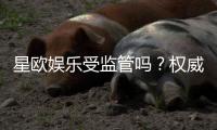 星欧娱乐受监管吗？权威解析其合法性与监管现状