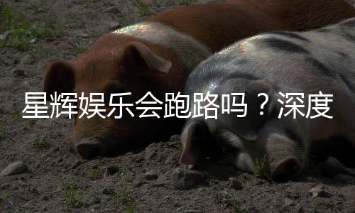 星辉娱乐会跑路吗？深度解析平台资质与玩家资金安全