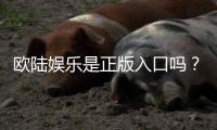 欧陆娱乐是正版入口吗？揭秘平台资质与游戏安全性