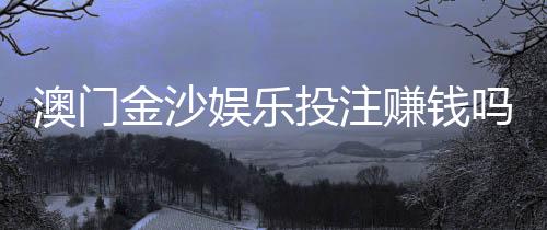 澳门金沙娱乐投注赚钱吗?揭秘高胜率玩家的盈利技巧与风险控制