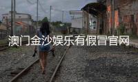 澳门金沙娱乐有假冒官网吗？揭秘真假官网辨别技巧与防骗指南