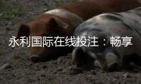 永利国际在线投注：畅享精彩娱乐时刻