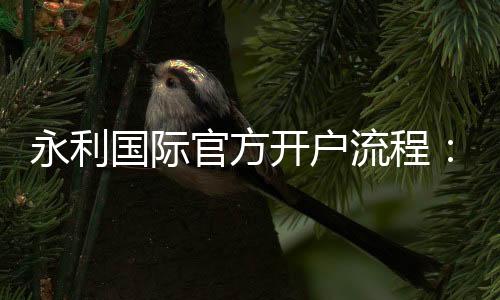 永利国际官方开户流程:详细步骤介绍