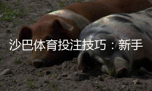 沙巴体育投注技巧：新手必学的投注技巧、资金管理与实战攻略