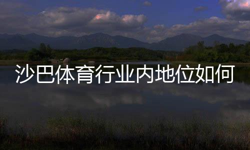 沙巴体育行业内地位如何?市场份额、竞争优势与未来发展全解析