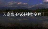 天富娱乐投注种类多吗？全面解析平台热门游戏与特色玩法