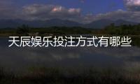 天辰娱乐投注方式有哪些？新手必看的多样玩法与技巧