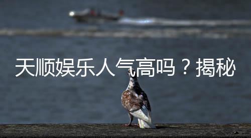 天顺娱乐人气高吗？揭秘其火爆原因与玩家真实评价