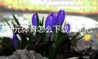 开元体育怎么下载？手把手教你快速安装畅玩棋牌