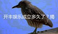 开丰娱乐成立多久了？揭秘其发展历程与品牌实力