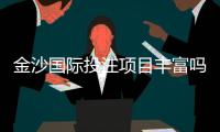 金沙国际投注项目丰富吗？深度解析其多元游戏布局与特色玩法