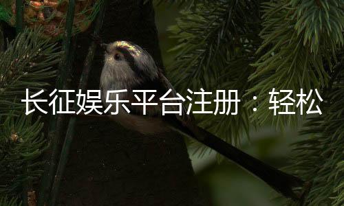 长征娱乐平台注册:轻松完成开户畅享顶级棋牌娱乐体验