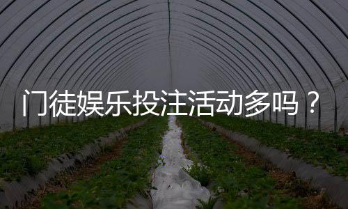 门徒娱乐投注活动多吗？最新优惠与特色玩法全解析