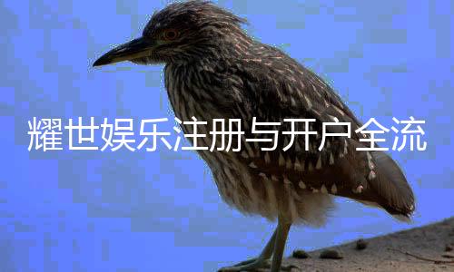 耀世娱乐注册与开户全流程:新手必看的一站式指南