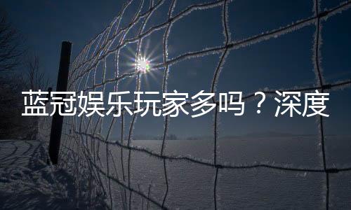 蓝冠娱乐玩家多吗?深度解析平台人气与玩家真实体验
