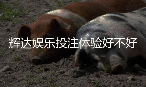 辉达娱乐投注体验好不好？资深玩家亲测真实反馈