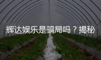 辉达娱乐是骗局吗？揭秘其真实性与玩家体验