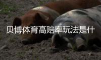 贝博体育高赔率玩法是什么意思？新手必看策略、技巧与风险控制