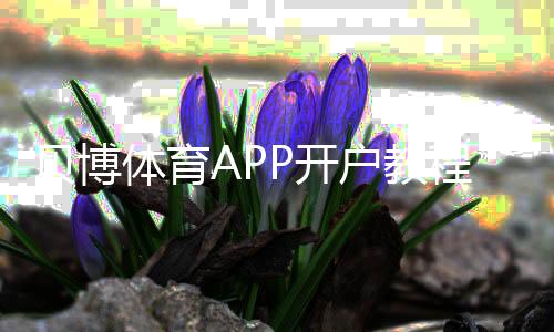 贝博体育APP开户教程：新手注册步骤、实名认证与常见问题详解