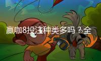 赢咖8投注种类多吗？全面解析平台丰富玩法与特色