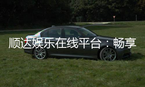 顺达娱乐在线平台：畅享顶级棋牌与电子游艺的乐趣